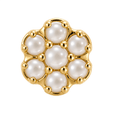 Rounded Flower - 14K Gold Threadless/Threaded - piercing-zone.com