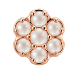 Rounded Flower - 14K Gold Threadless/Threaded - piercing-zone.com
