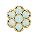 Rounded Flower - 14K Gold Threadless/Threaded - piercing-zone.com