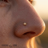 Rounded Star with Gem – 14K Gold Threadless/Threaded End - piercing - zone.com