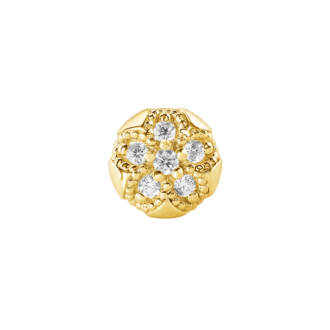 Sand Dollar – 14K Gold Threadless/Threaded End - piercing-zone.com