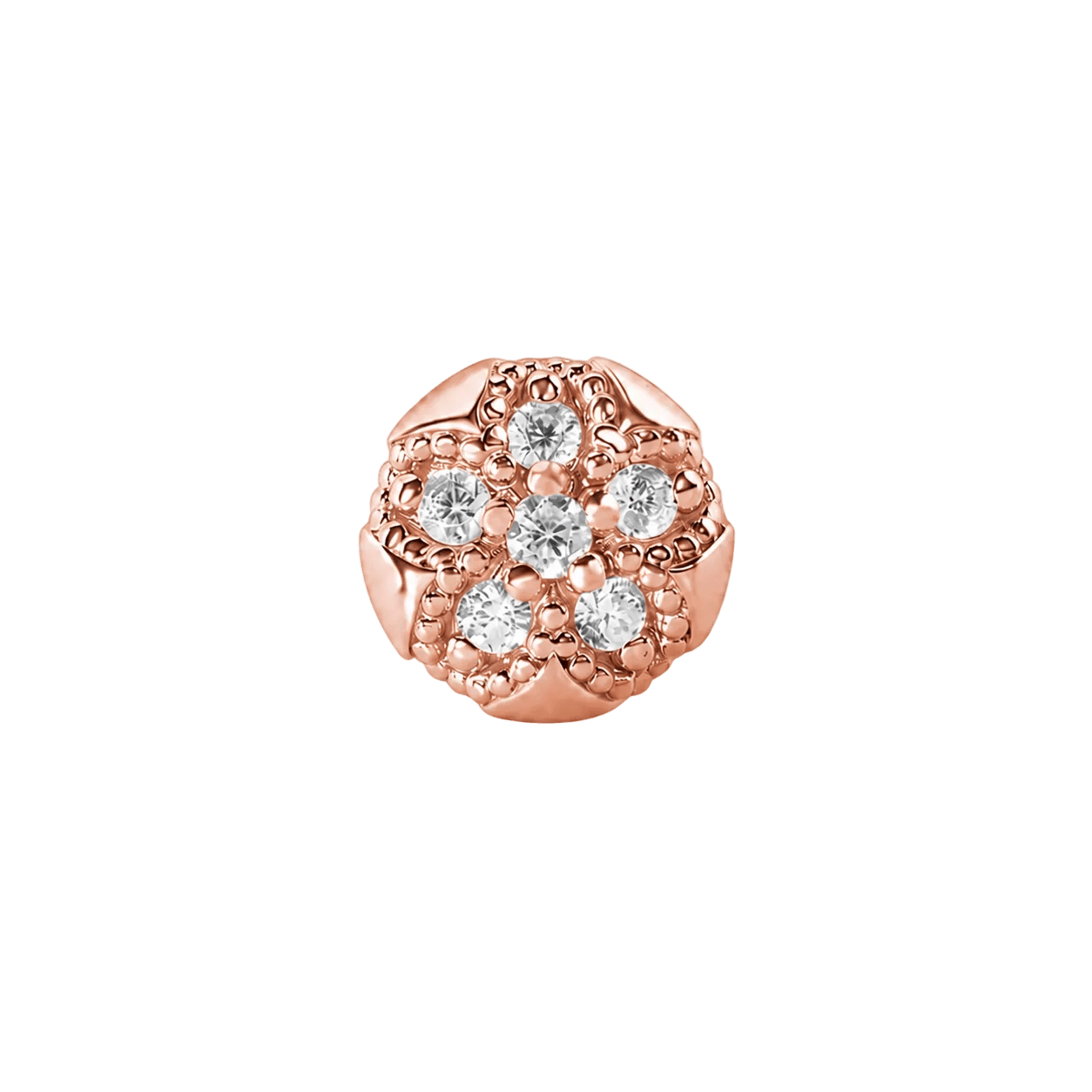 Sand Dollar – 14K Gold Threadless/Threaded End - piercing-zone.com