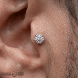 Sand Dollar – 14K Gold Threadless/Threaded End - piercing - zone.com