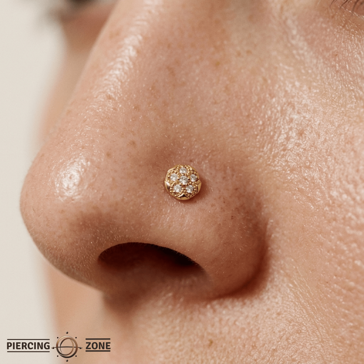 Sand Dollar – 14K Gold Threadless/Threaded End - piercing - zone.com