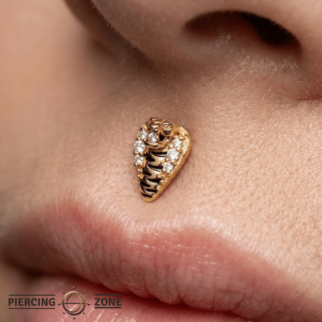 Savage – CZ & Enamel Accent – 14K Gold Threadless End - piercing - zone.com