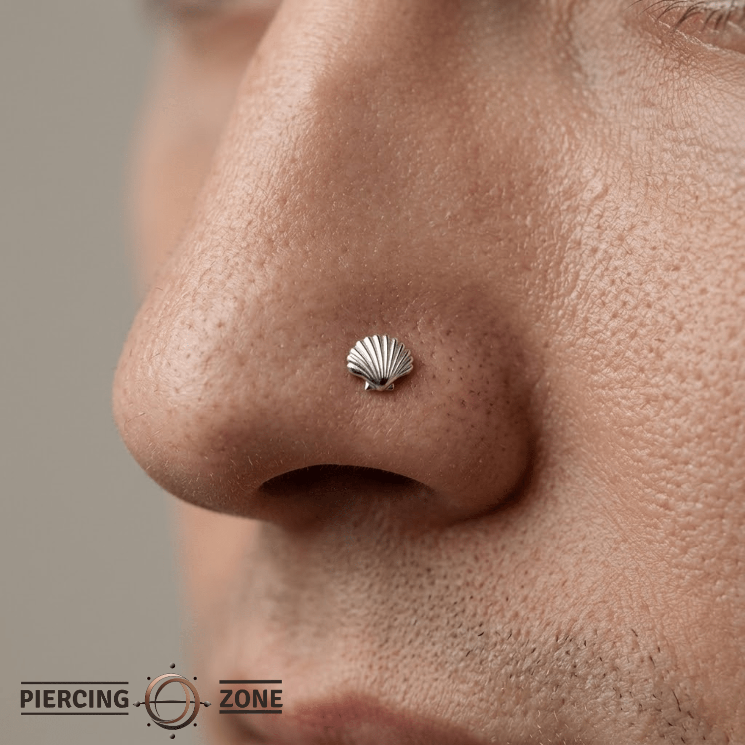 Scallop Shell - 14K Gold Threadless/Threaded End - piercing - zone.com