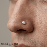 Scallop Shell - 14K Gold Threadless/Threaded End - piercing - zone.com