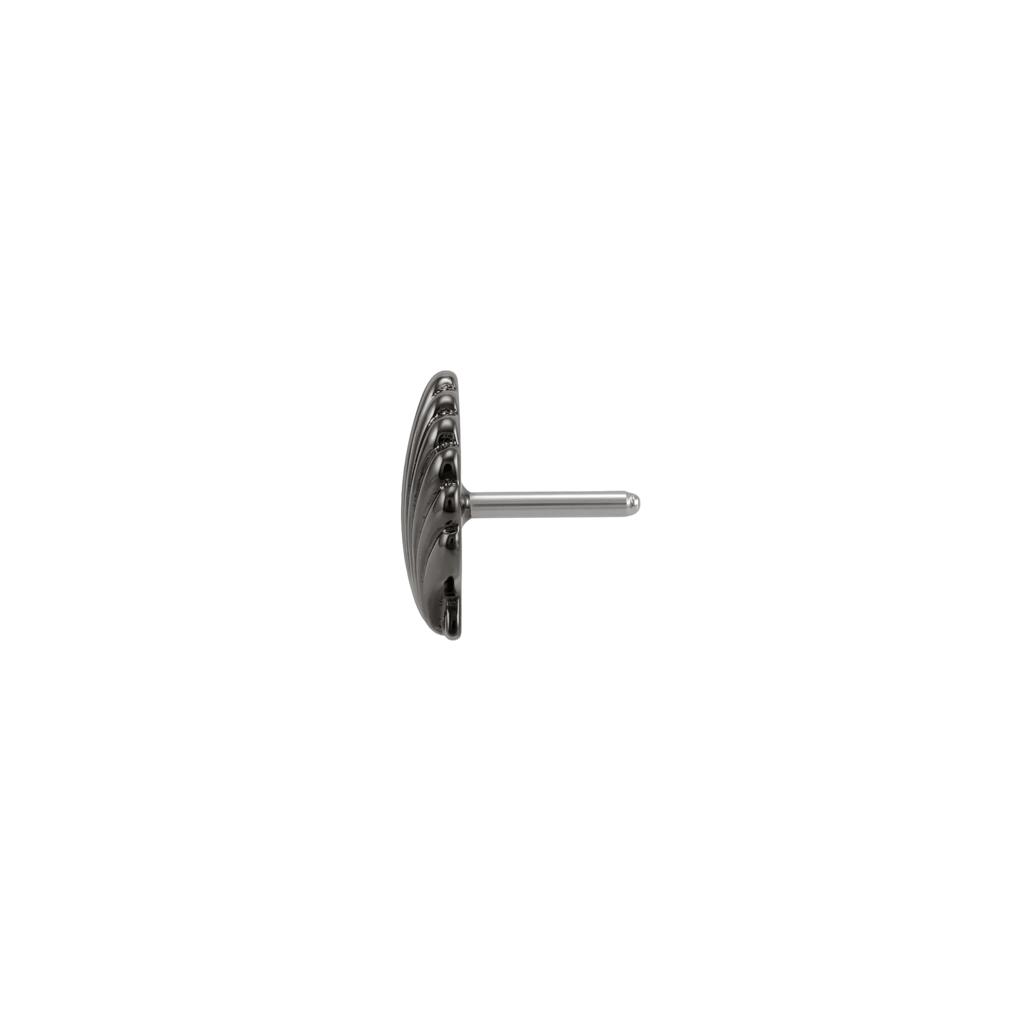 Scallop Shell - 14K Gold Threadless/Threaded End - piercing - zone.com