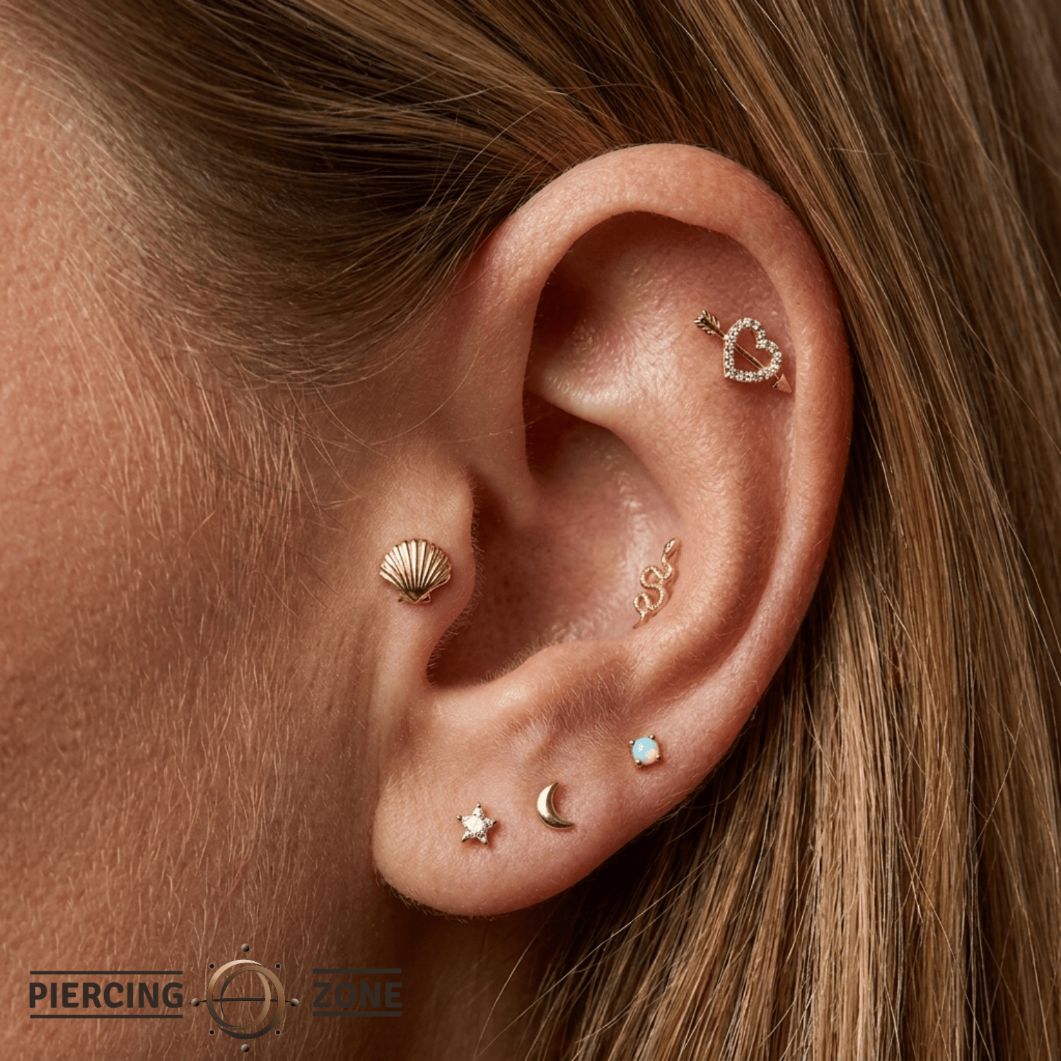 Scallop Shell - 14K Gold Threadless/Threaded End - piercing - zone.com