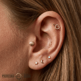 Scallop Shell - 14K Gold Threadless/Threaded End - piercing - zone.com