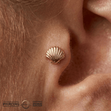 Scallop Shell - 14K Gold Threadless/Threaded End - piercing - zone.com