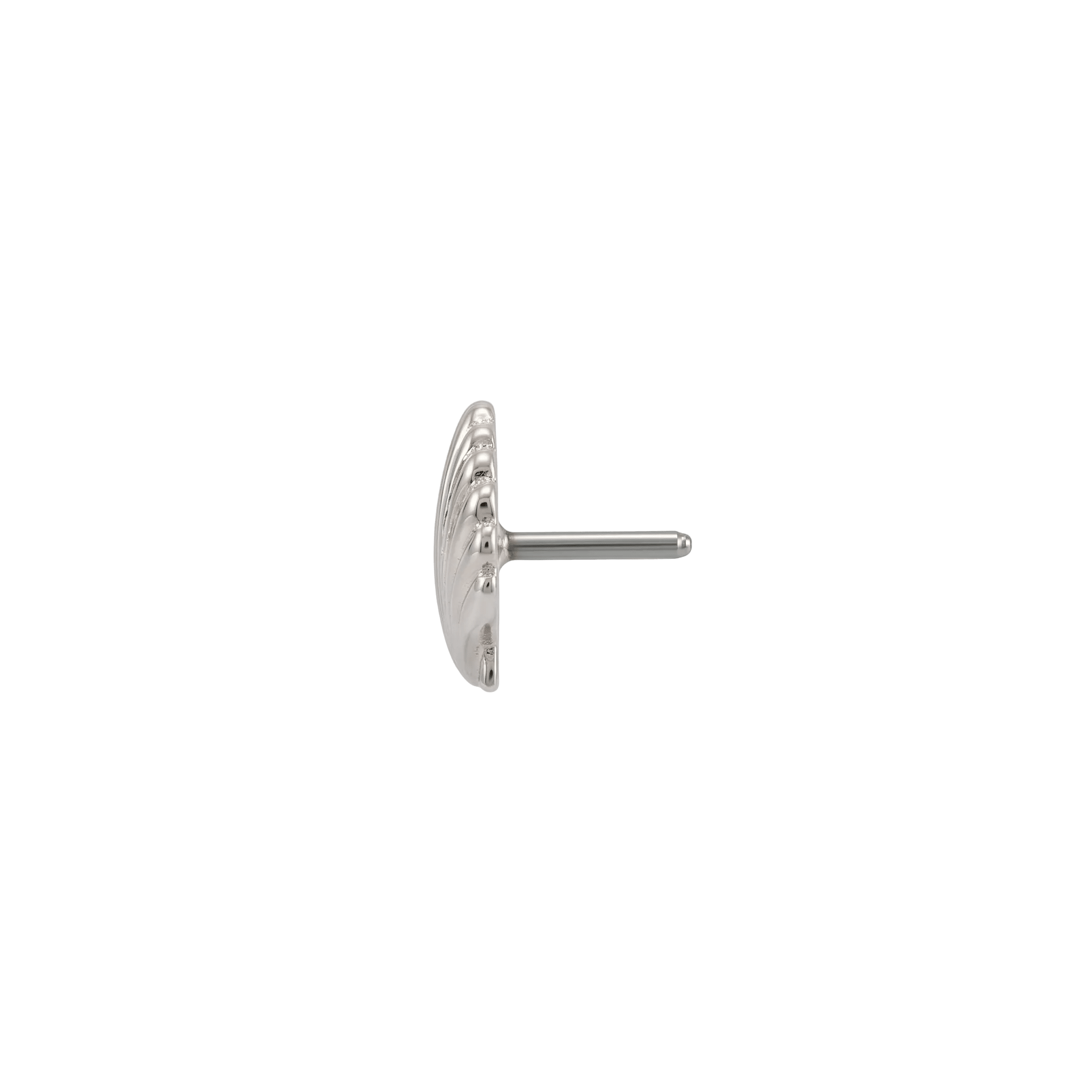 Scallop Shell - 14K Gold Threadless/Threaded End - piercing - zone.com