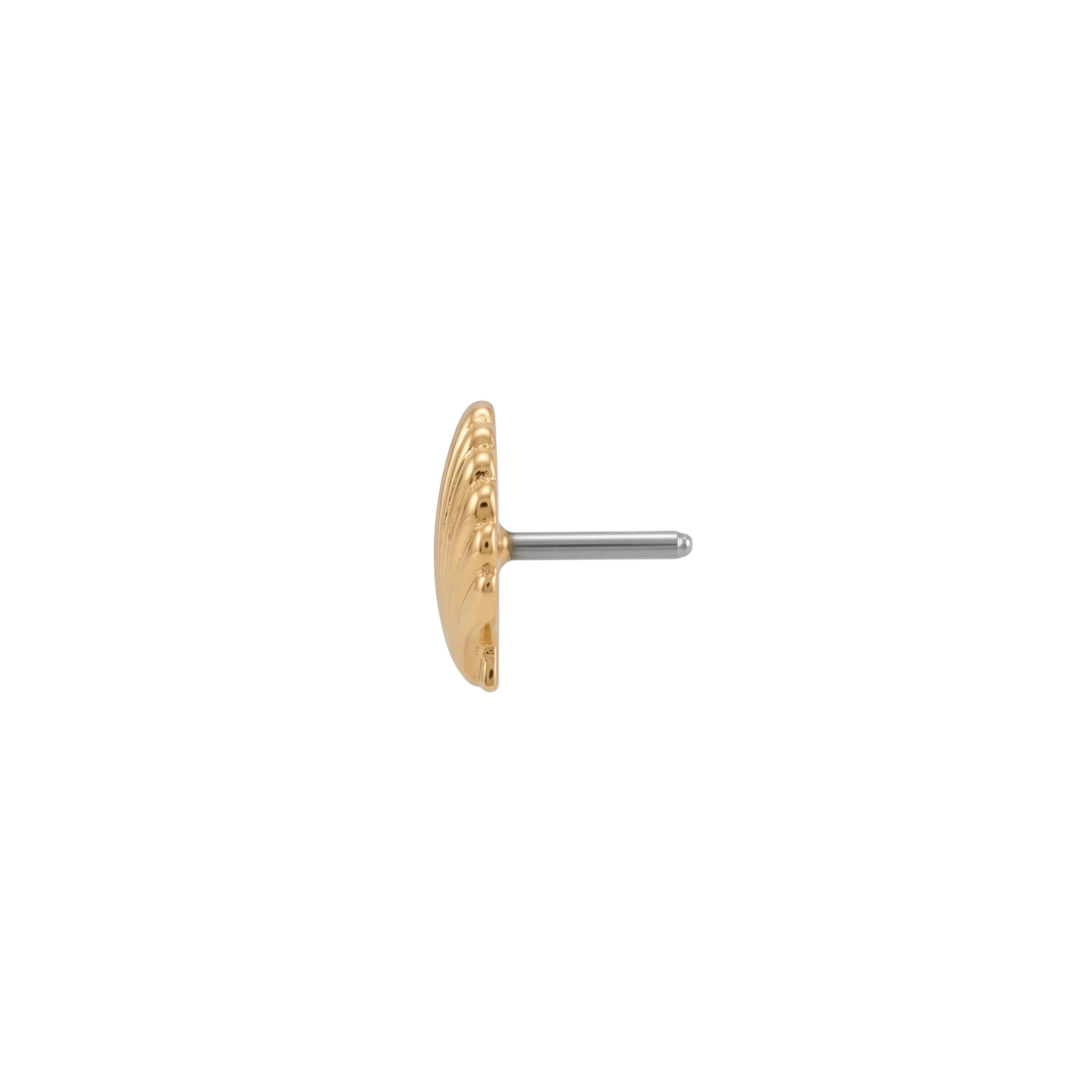 Scallop Shell - 14K Gold Threadless/Threaded End - piercing - zone.com