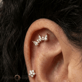 Scandalous – CZ Fan Crown – 14K Gold Threadless End - piercing - zone.com