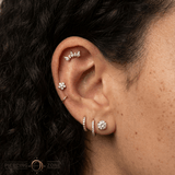 Scandalous – CZ Fan Crown – 14K Gold Threadless End - piercing - zone.com