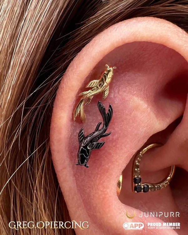Scene Koi – Black Rhodium Fish – 14K Gold Threadless End - piercing - zone.com