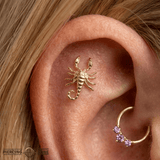 Scorpion – 14K Gold Threadless Pin with Arched Tail - piercing - zone.com