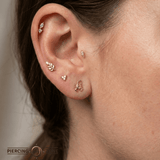 Scorpion – 14K Gold Threadless/Threaded End - piercing - zone.com