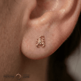 Scorpion – 14K Gold Threadless/Threaded End - piercing - zone.com