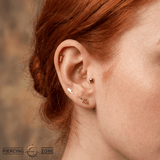 Screwed – 14K Gold Threadless/Threaded End - piercing - zone.com