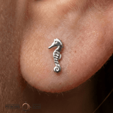 Sea Horse – 14K Gold Threadless/Threaded End - piercing - zone.com