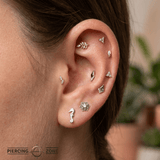 Sea Horse – 14K Gold Threadless/Threaded End - piercing - zone.com