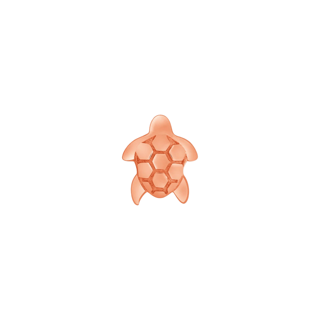 Sea Turtle – 14K Gold Threadless & Threaded End - piercing - zone.com