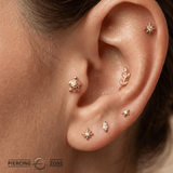 Sea Turtle – 14K Gold Threadless/Threaded End - piercing - zone.com