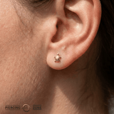 Sea Turtle – 14K Gold Threadless/Threaded End - piercing - zone.com