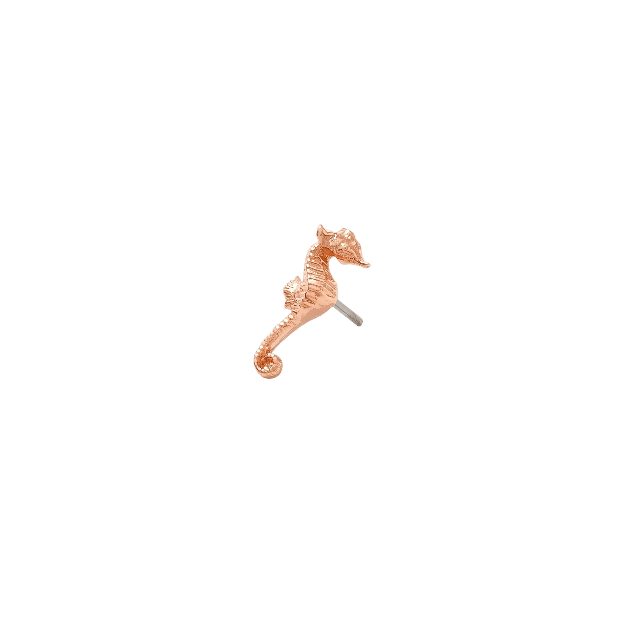 Seahorse Pin - 14K Gold Seahorse Threadless End - piercing - zone.com