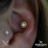 Serena – 14K/18K Gold Gemstone Threadless End - piercing - zone.com