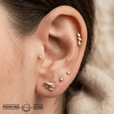 Shark – 14K Gold Threadless/Threaded End - piercing - zone.com