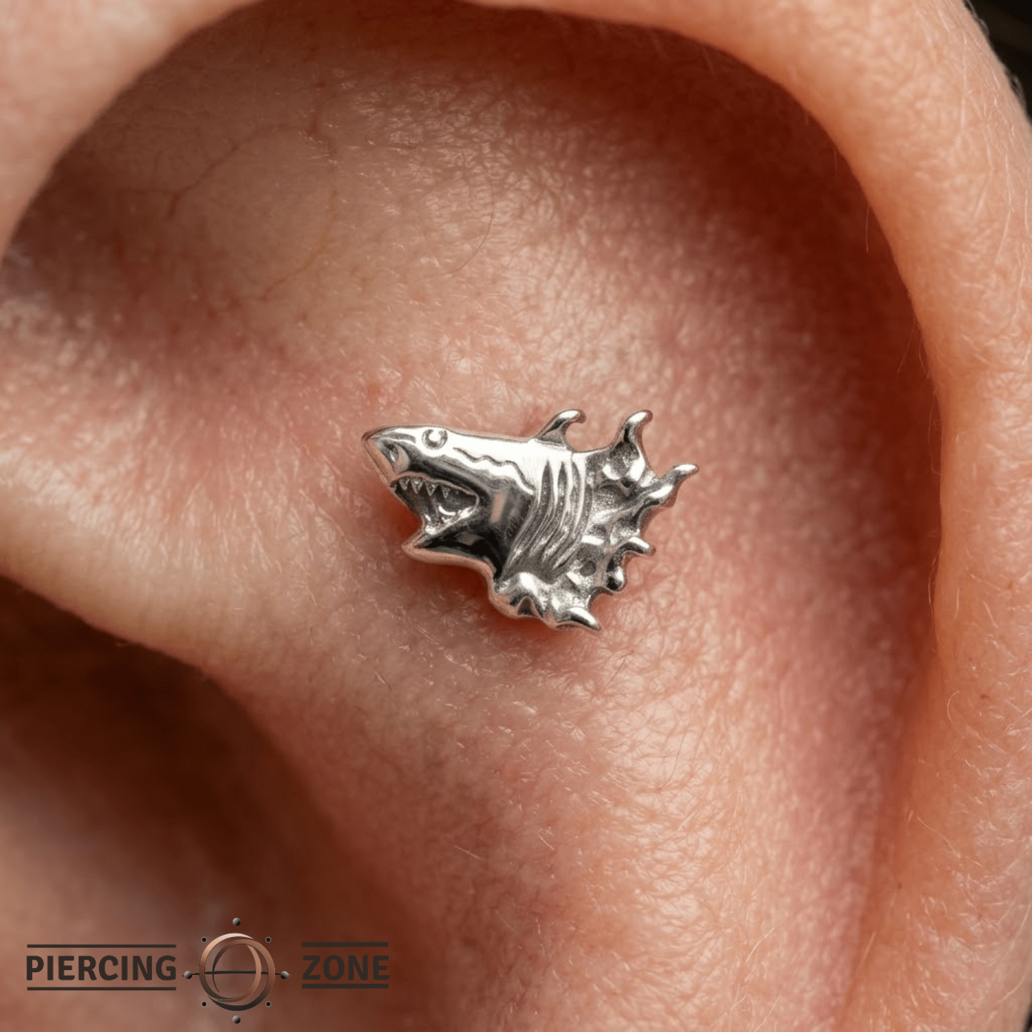 Shark – 14K Gold Threadless/Threaded End - piercing - zone.com
