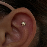 Shell – 14K Gold Threadless & Threaded End - piercing - zone.com