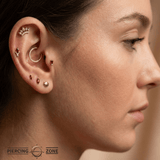 Shell – 14K Gold Threadless/Threaded End - piercing - zone.com