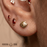 Shell – 14K Gold Threadless/Threaded End - piercing - zone.com