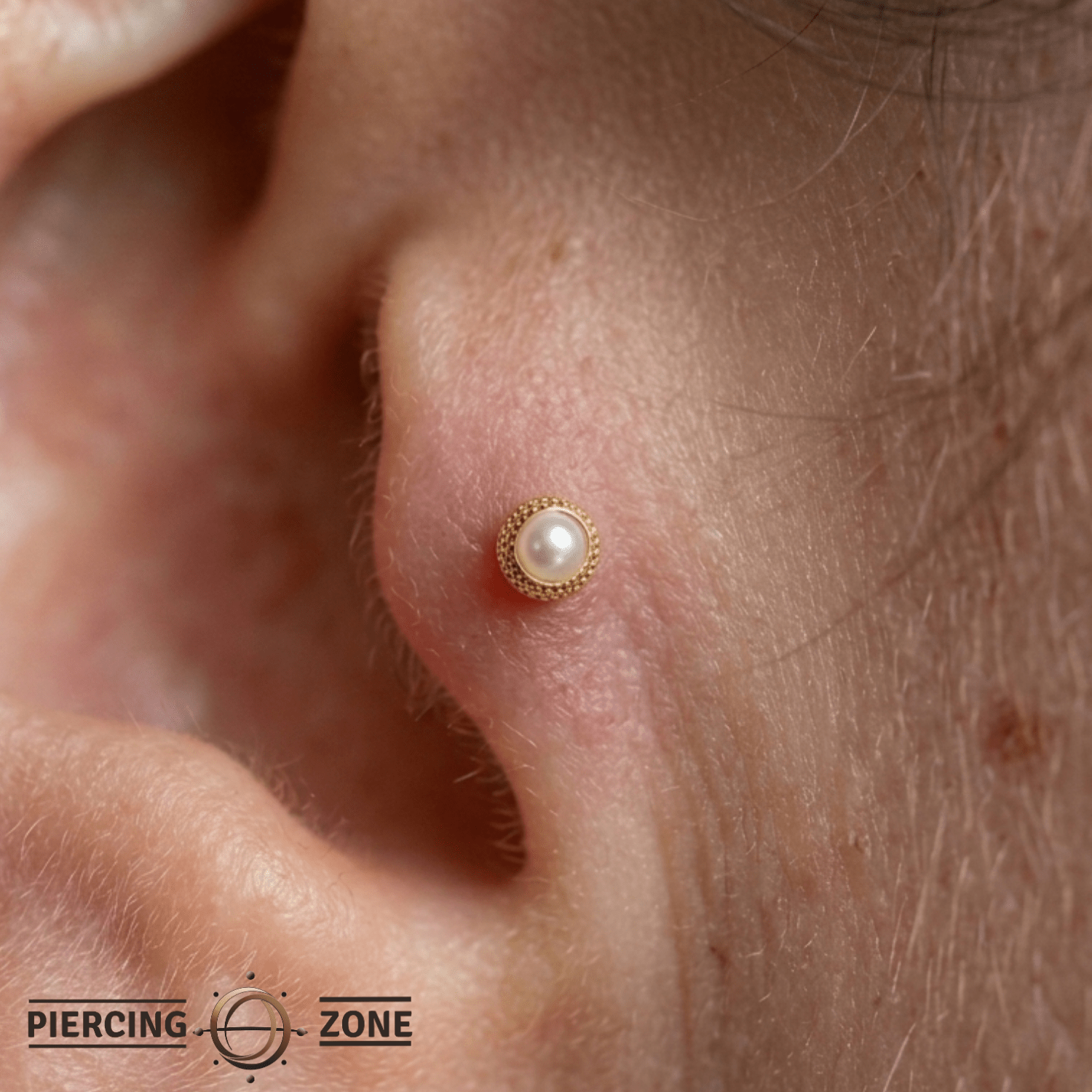 Shell Cup Pearl – 14K Gold Threadless/Threaded End - piercing - zone.com