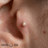 Shell Cup Pearl – 14K Gold Threadless/Threaded End - piercing - zone.com