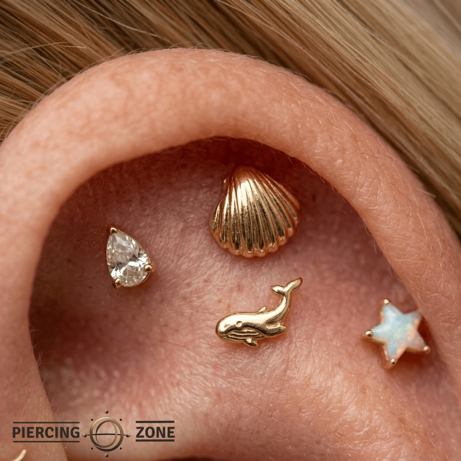 Shell Treasure – Ocean Shell – 14K Gold Threadless End - piercing - zone.com