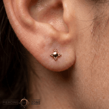 Shield - 18K Gold Threadless End - piercing-zone.com