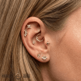 Shield - 18K Gold Threadless End - piercing-zone.com