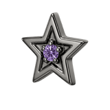 Shining Star - 14K Gold Threadless/Threaded - piercing-zone.com
