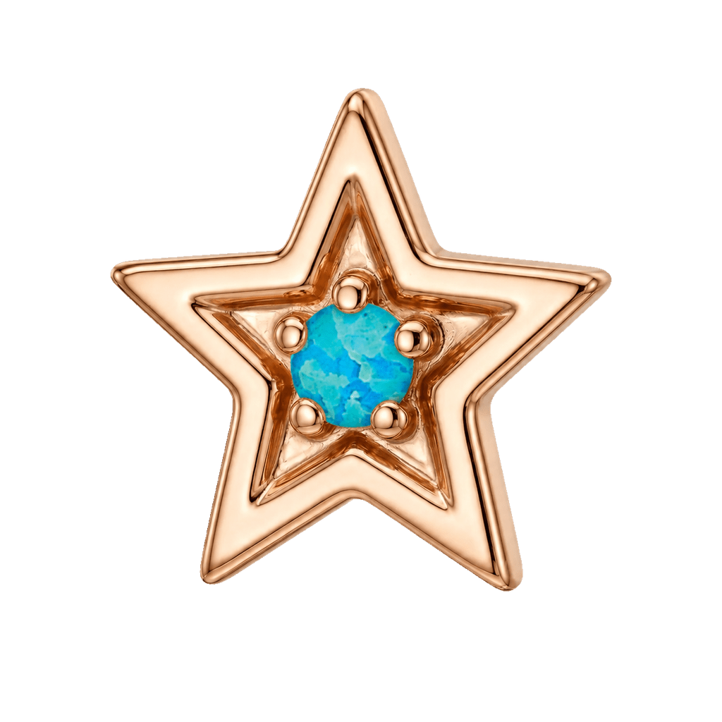 Shining Star - 14K Gold Threadless/Threaded - piercing-zone.com