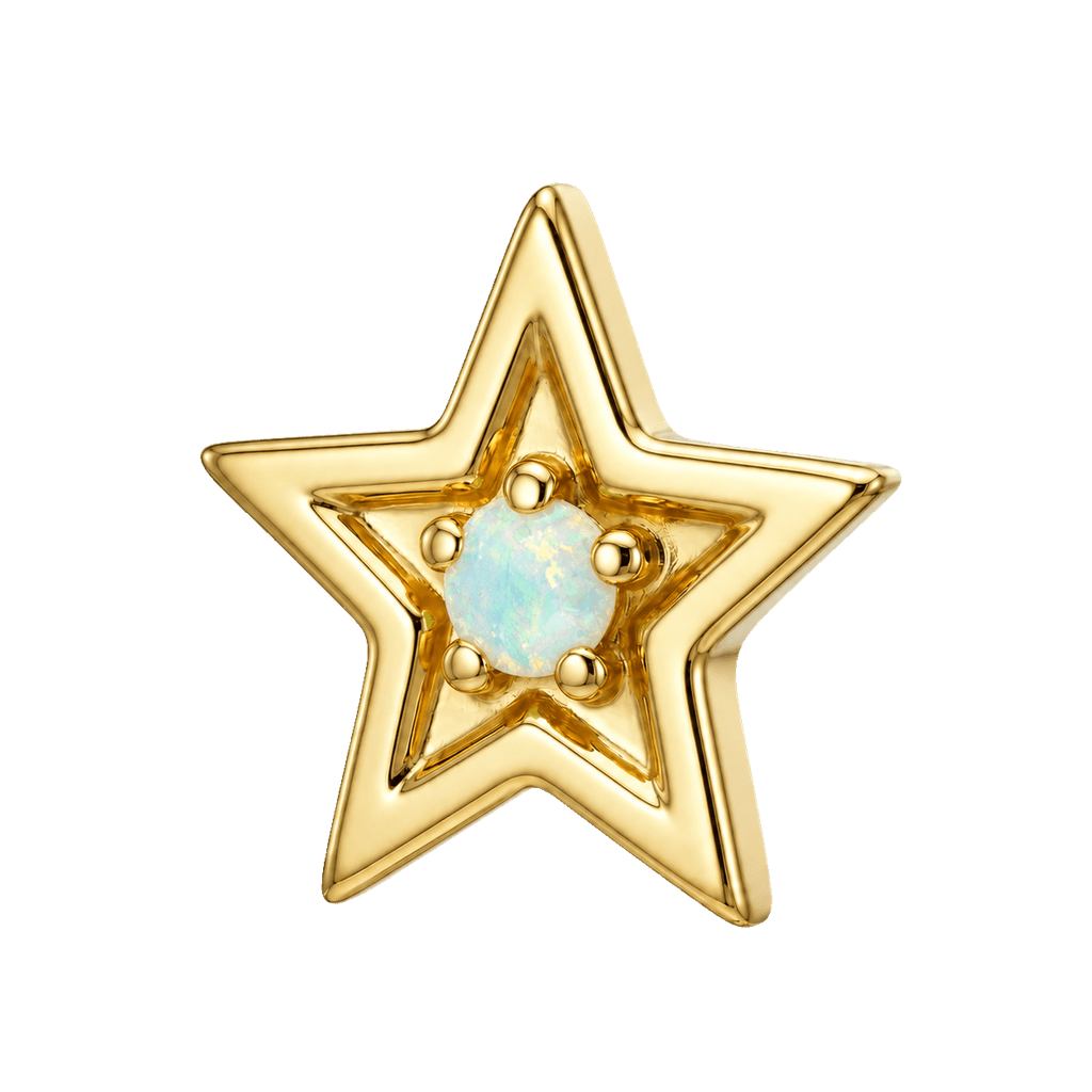 Shining Star - 14K Gold Threadless/Threaded - piercing-zone.com