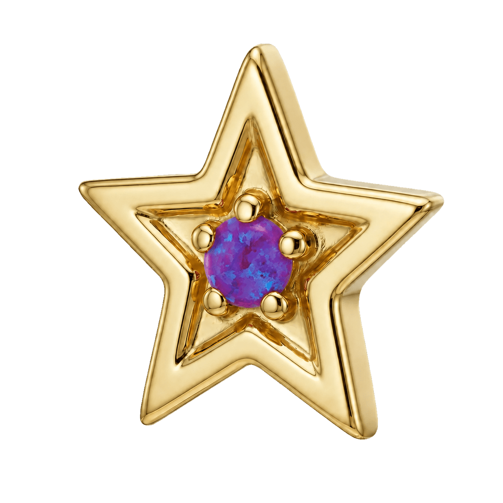 Shining Star - 14K Gold Threadless/Threaded - piercing-zone.com