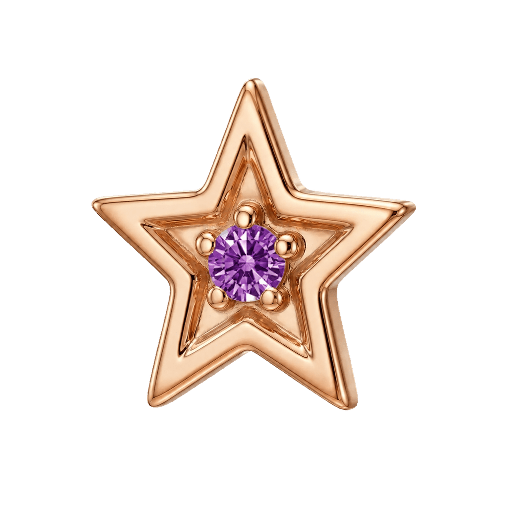 Shining Star - 14K Gold Threadless/Threaded - piercing-zone.com