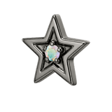 Shining Star - 14K Gold Threadless/Threaded - piercing-zone.com