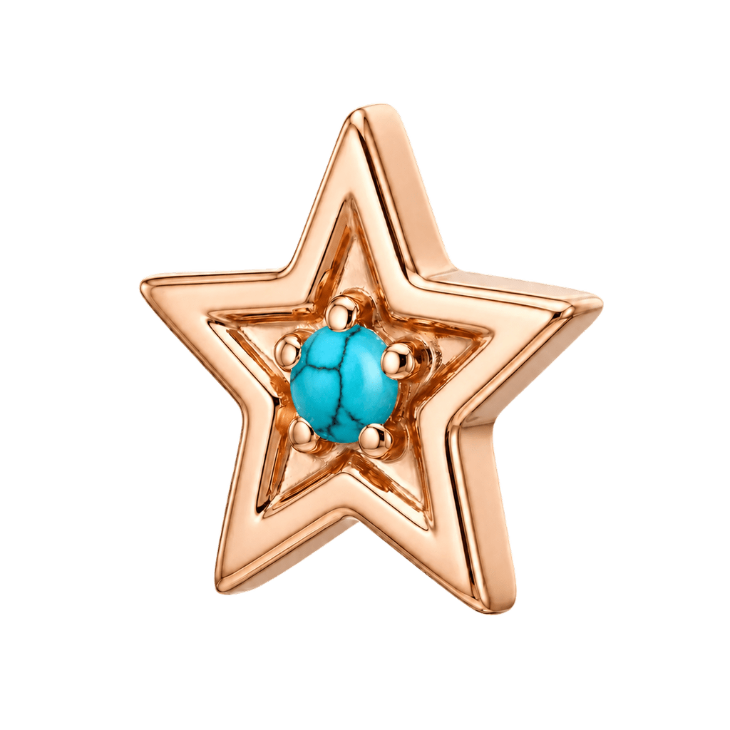 Shining Star - 14K Gold Threadless/Threaded - piercing-zone.com