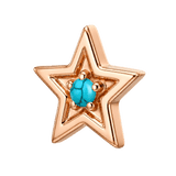 Shining Star - 14K Gold Threadless/Threaded - piercing-zone.com