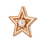 Shining Star - 14K Gold Threadless/Threaded - piercing-zone.com